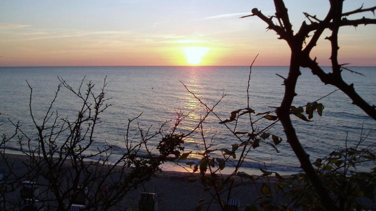 AreaSummer5KM AreaSummer5KM